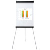 Flipchart standartn + psluenstv | Whiteboard